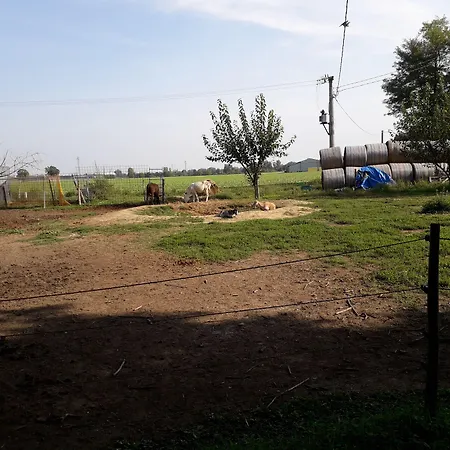 La Ravegnana Фермерский дом Casa Ottani