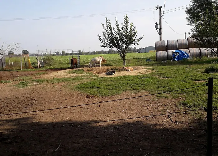 La Ravegnana Farmház Casa Ottani